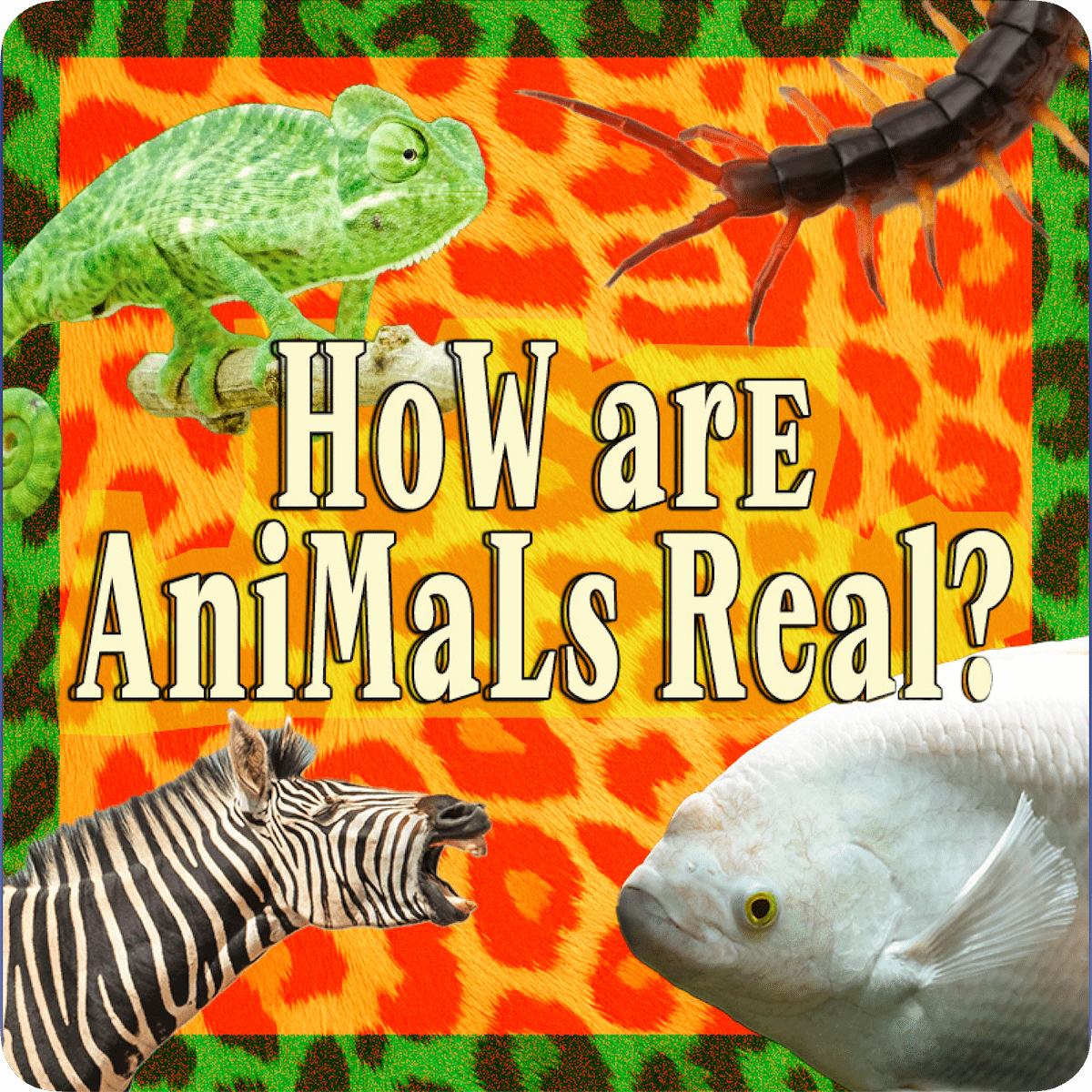 How Are Animals Real